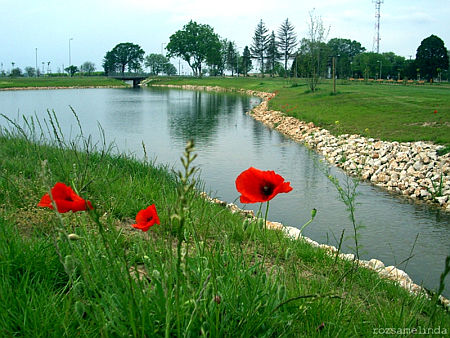 Devecser 2012
